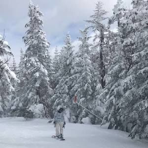 Meet your Posher, Emalia